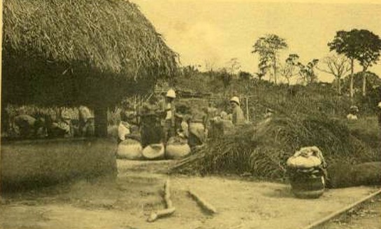 RDahomey Benin Sakete Preparing Corn for Shipment